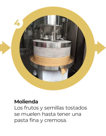 11. Móvil - Proceso Tikal Nuts 4