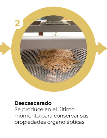 9. Móvil - Proceso Tikal Nuts 2