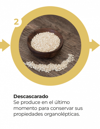 Móvil - Proceso Tikal Nuts 2