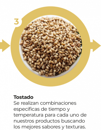 Móvil - Proceso Tikal Nuts 3