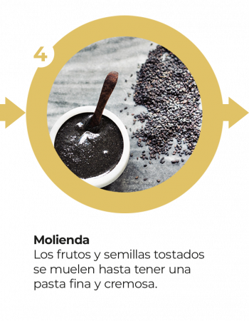 Móvil - Proceso Tikal Nuts 4