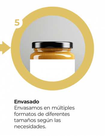 Móvil - Proceso Tikal Nuts 5